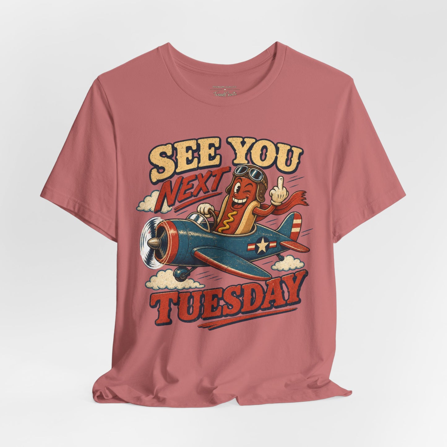 See You Next Tuesday Tee — Vintage Plane Cartoon Graphic T-Shirt