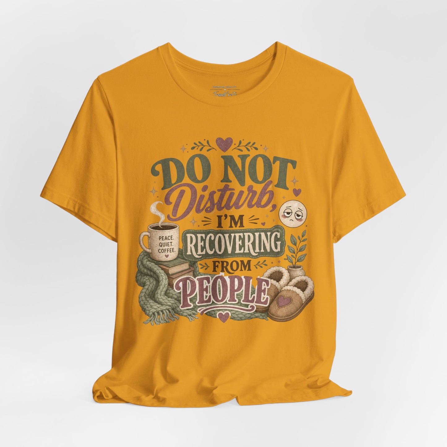 Do Not Disturb, I’m Recovering From People Tee